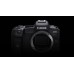 CANON EOS R7 + RF 18-150MM F3.5-6.3 IS STM + CANON ADAPTER EF TO R