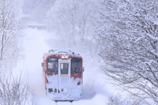 Σούπερ τηλεφακός Canon RF 600mm F4L IS USM – εικόνα τρένου τον χειμώνα