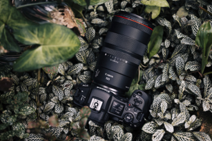 Canon RF 100mm F2.8L Macro IS USM – φακός macro, εικόνα του προϊόντος με φόντο ένα θέμα από τη φύση